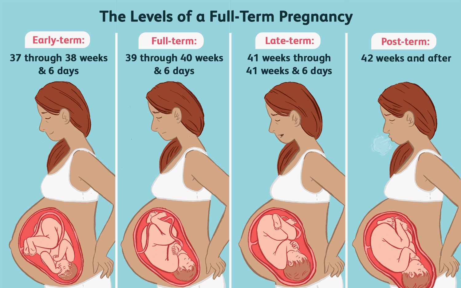 Pregnancy