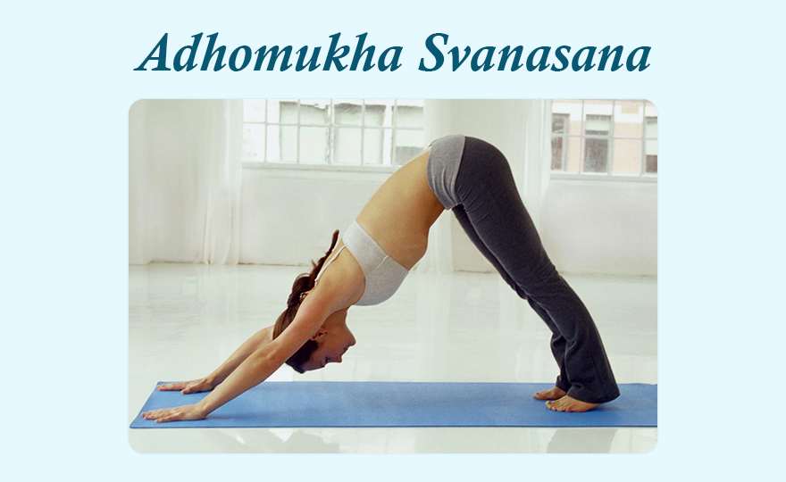 Bhujangasana: Cobra Pose for uncoiling of Kundalini – Welcome to The South  Asian Times