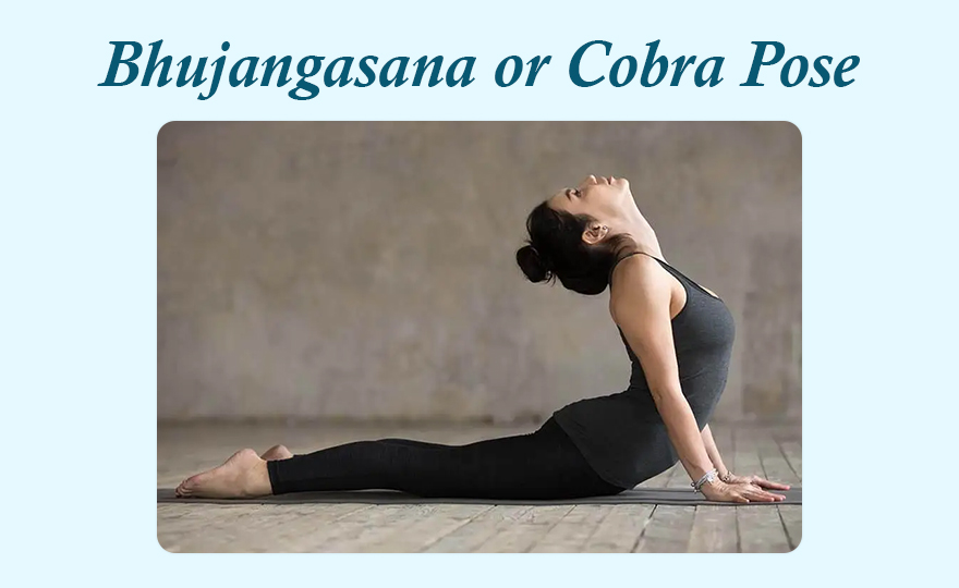 How to Do Cobra Pose (Bhujangasana) Ultimate Guide + Anatomy Break Down -