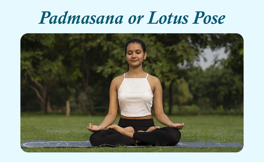 Padmasana