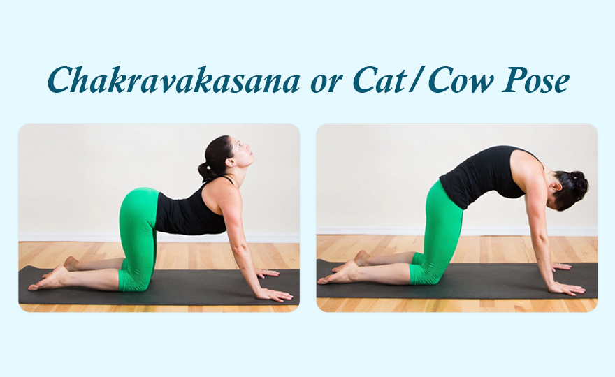 Chakravakasana